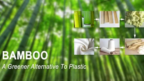 Bamboo as an Alternative to Plastic: Environmental Benefits