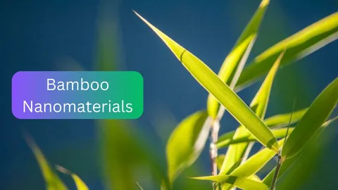 Bamboo Nanomaterials: Applications in Advanced Technologies