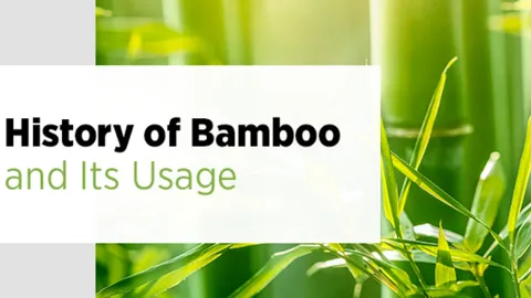 Historical Uses of Bamboo: From Ancient Times to Modern Day