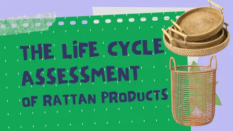 Life Cycle Assessment of Rattan Products: Cradle to Grave Analysis