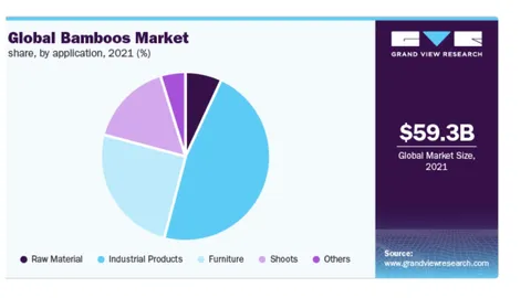 Market Share Assessment: Leading Players in Bamboo Products