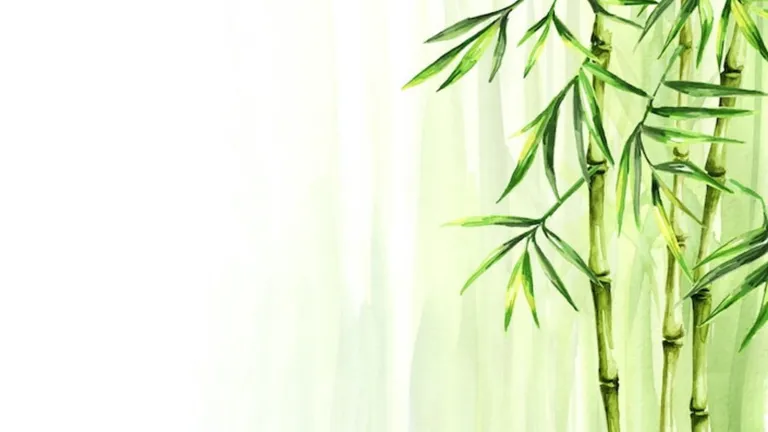 The Cultural Significance of Bamboo in Asian Societies