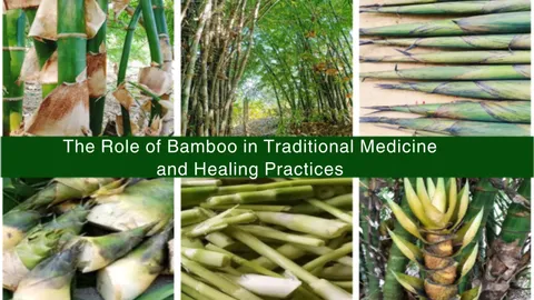 The Role of Bamboo in Traditional Medicine and Healing Practices