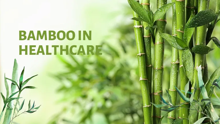 Therapeutic Applications of Bamboo Products in Healthcare